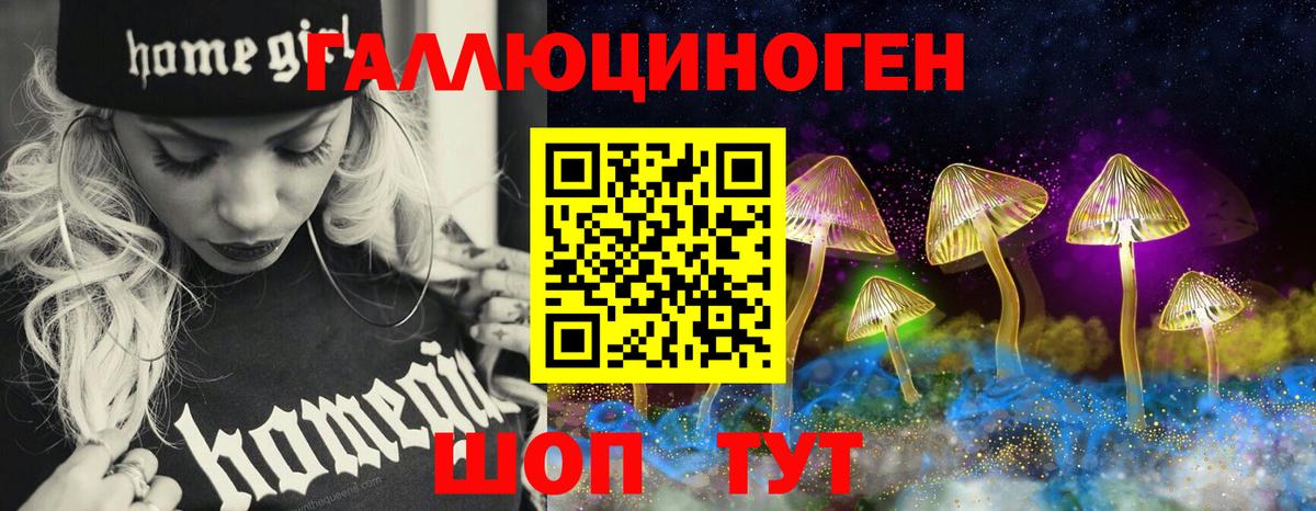 где купить наркотик  Псилоцибиновые грибы Cubensis  Вход с VPN  Советская Гавань 