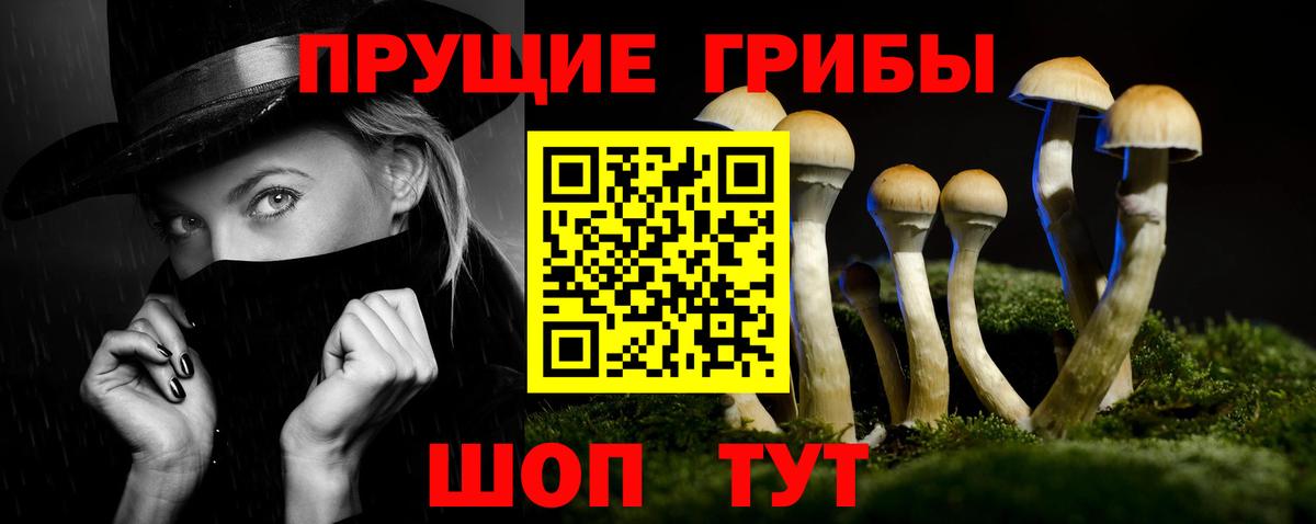 Галлюциногенные грибы Psilocybe Советская Гавань